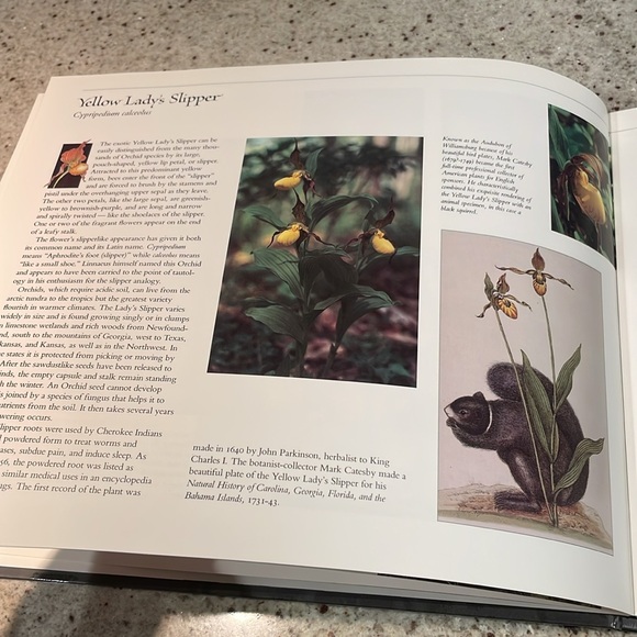 NWT- Mint Rare Vintage USPS Postage Stamps State Wildflowers and Book - Picture 7 of 9